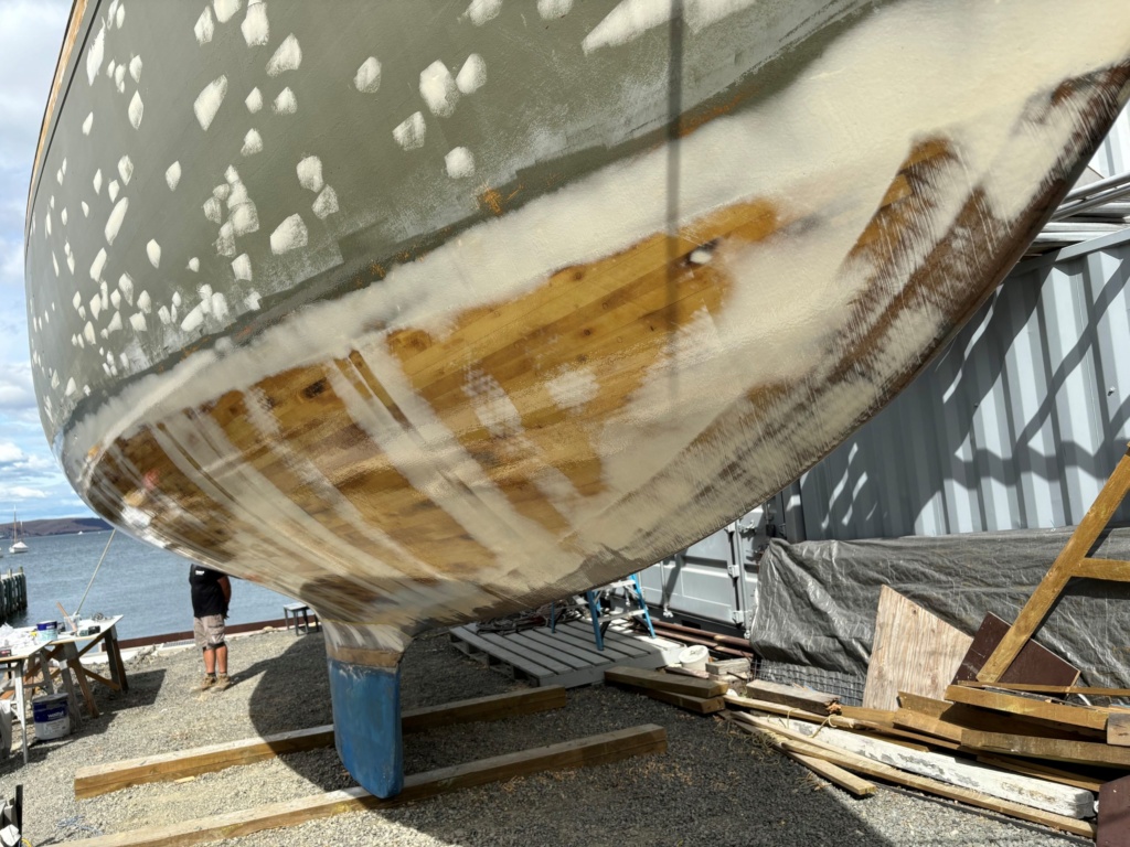 Close Up Of Undercoat