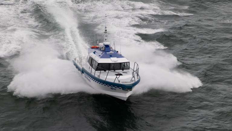 Sea Hawk